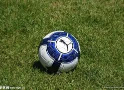 申花,惊险击败川,崎前锋,亚博体育,亚博体育官网,亚博体育app,亚博体育下载