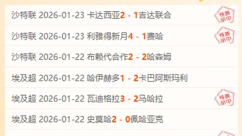 逆袭成功背后：数据悖论下的市场定位奇谋！