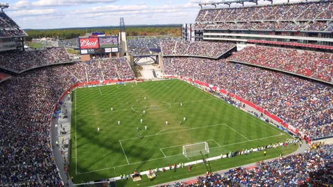 亚博体育